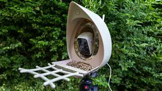 Which is Better Value? Fujifilm Instax Mini 41 vs Peckperk Smart Bird Feeder Camera Compared